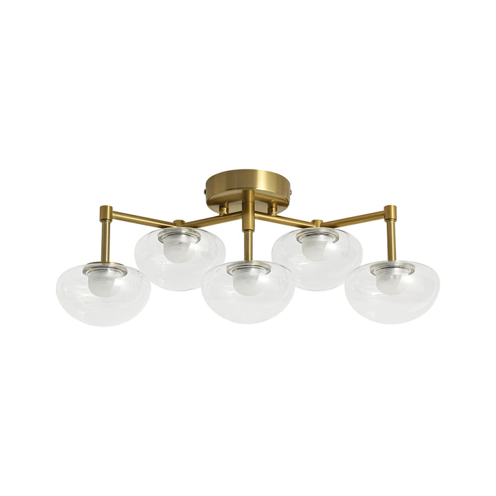 Veylin 5-Light Dimmable LED Glass Modern Flat Globe Wall/Ceiling Mounted Light(20") My Store