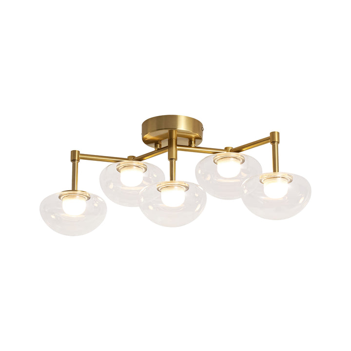 Veylin 5-Light Dimmable LED Glass Modern Flat Globe Wall/Ceiling Mounted Light(20") My Store